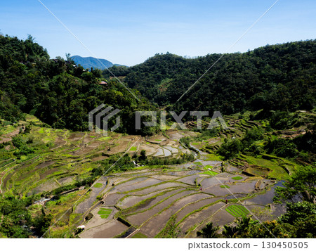 菲律賓巴拿威 130450505