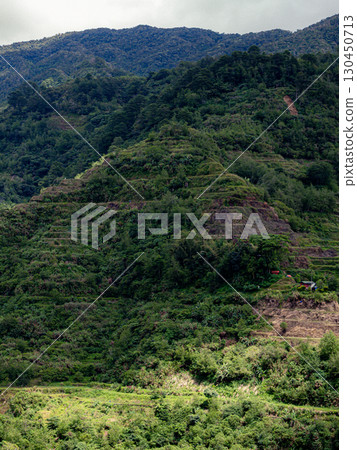 菲律賓巴拿威 菲律賓巴拿威 130450713