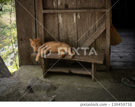 Banaue, Philippines 130450738
