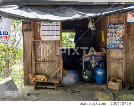 菲律賓巴拿威 130450739