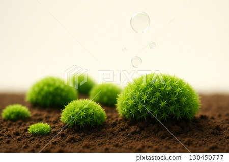 Sphagnum moss that grows on soil – Green healing 130450777