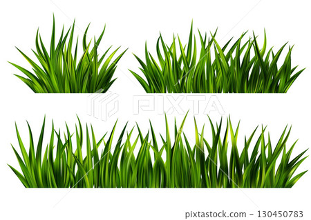 Green grass on field. Border of lawn plants isolated on white background. Realistic nature garden and meadow illustration. Long vegetation leaves. Summer fresh foliage vector design. 130450783