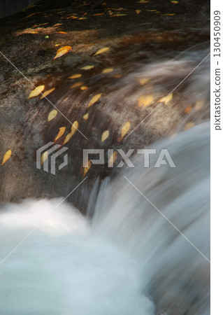 Fallen leaves clinging to the rock face of a mountain stream (Ryuzu Yaetaki Prefectural Natural Park: Unnan City) 130450909