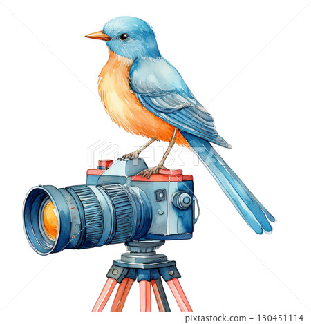 一隻藍鳥坐在單眼相機上 130451114
