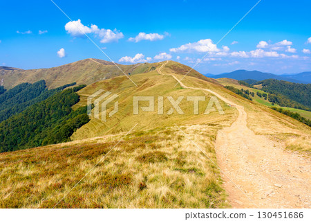 mountain dirt road through grassy alpine meadow. wonderful outdoor adventure in autumn afternoon light. hiking through krasna ridge of transcarpathia, ukraine. clouds on the blue sky 130451686
