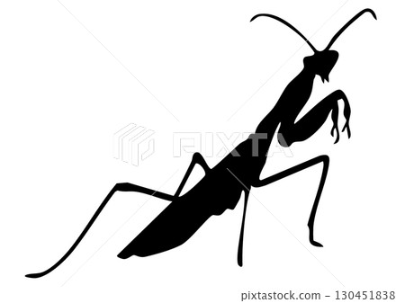 螳螂剪影 螳螂剪影 130451838