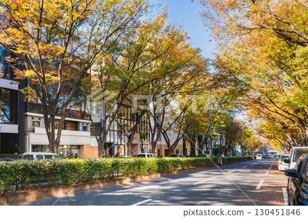 東京表參道的秋天 130451846