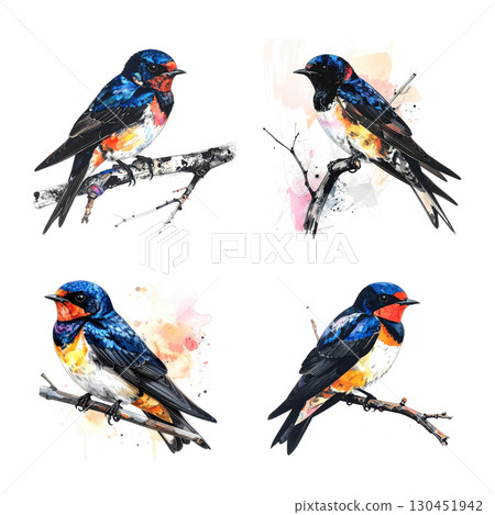 A set of four colorful, mixed-media illustrations depicting swallows perched on branches. Birds. 130451942