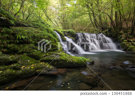 A waterfall leading to the Kikuchi Gorge with a clear stream flowing through nature A waterfall leading to the Kikuchi Gorge with a clear stream flowing through nature 130451988