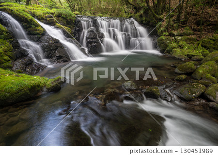 A waterfall leading to the Kikuchi Gorge with a clear stream flowing through nature 130451989