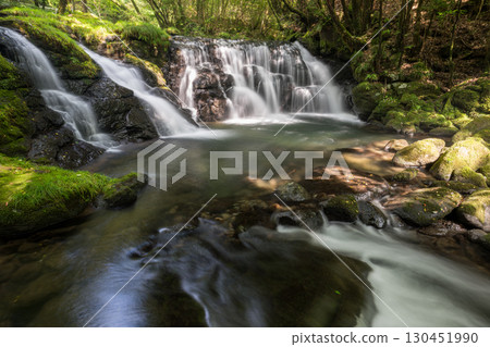 A waterfall leading to the Kikuchi Gorge with a clear stream flowing through nature 130451990