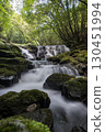 A waterfall leading to the Kikuchi Gorge with a clear stream flowing through nature 130451994