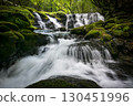 A waterfall leading to the Kikuchi Gorge with a clear stream flowing through nature 130451996