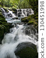 A waterfall leading to the Kikuchi Gorge with a clear stream flowing through nature 130451998