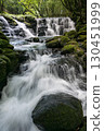 A waterfall leading to the Kikuchi Gorge with a clear stream flowing through nature 130451999