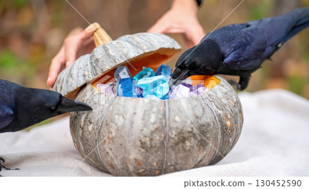 Enchanted ravens pecking into a carved pale pumpkin filled with glowing gems, magical and eerie forest atmosphere Enchanted ravens pecking into a carved pale pumpkin filled with glowing gems, magical and eerie forest atmosphere 130452590