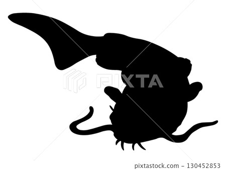 Catfish silhouette 130452853