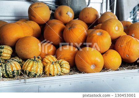 Pile of many ripe orange bright pumpkins on stone floor against straw hay at pumpkin farm yard. Halloween thanksgiving celebration symbol plant. Country rustic squash autumn background 130453001