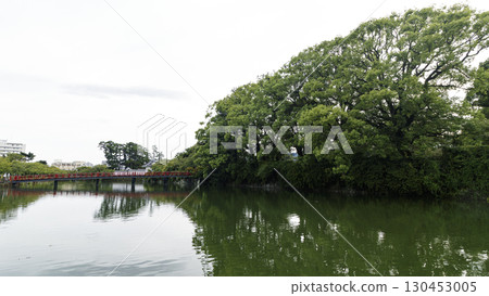 小田原城跡的夏天 小田原城跡的夏天 130453005