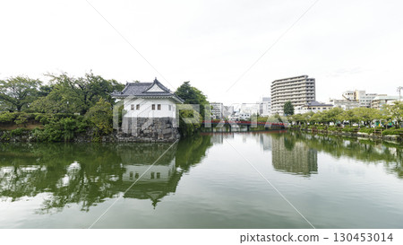 Summer at Odawara Castle Ruins 130453014