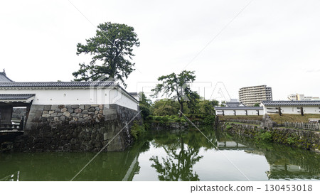 Summer at Odawara Castle Ruins 130453018
