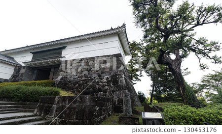 小田原城跡的夏天 130453176