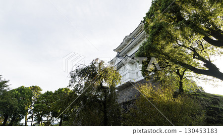Summer at Odawara Castle Ruins Summer at Odawara Castle Ruins 130453183