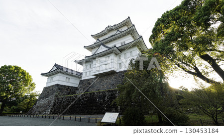 小田原城跡的夏天 130453184