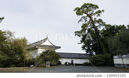 Summer at Odawara Castle Ruins Summer at Odawara Castle Ruins 130453185