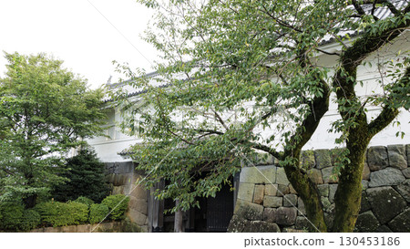 Summer at Odawara Castle Ruins Summer at Odawara Castle Ruins 130453186