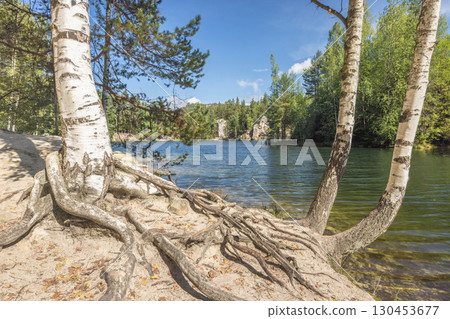 The Piskovna lake in Adrspach-Teplice Rocks area, in Hradec Kralove Region in the Czech Republic, Europe. Scenic lakeside view with birch trees and exposed roots reaching towards calm waters. 130453677