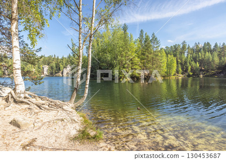 The Piskovna lake in Adrspach-Teplice Rocks area, in Hradec Kralove Region in Czech Republic, Europe. Tranquil lake reflecting the surrounding forest, with birch trees framing the serene landscape. 130453687
