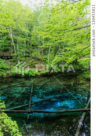 被原始森林環繞的神秘藍色池塘 被原始森林環繞的神秘藍色池塘 130453811