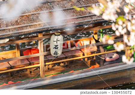 Fushimi Jikkokubune boats and cherry blossoms in full bloom. Spring in Kyoto. Fushimi Ward, Kyoto City Fushimi Jikkokubune boats and cherry blossoms in full bloom. Spring in Kyoto. Fushimi Ward, Kyoto City 130455072