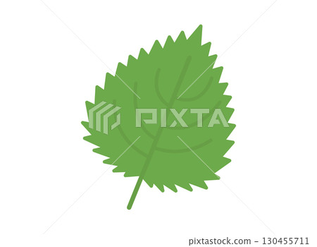 Simple illustration of perilla 130455711