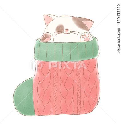 Cat sleeping in a sock 130455720