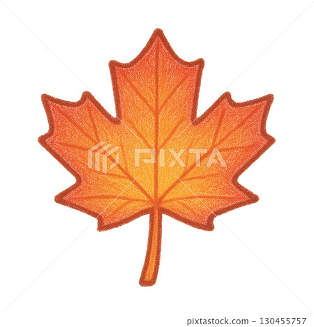 Colored pencil style illustration of autumn leaves 130455757