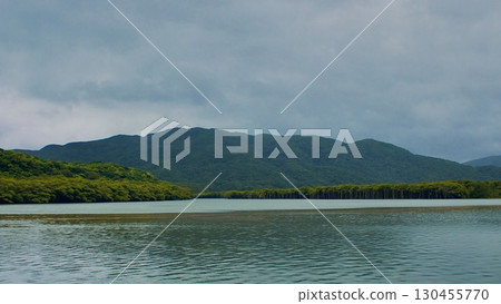Mangroves and rivers on Iriomote Island, a wide landscape under cloudy skies Mangroves and rivers on Iriomote Island, a wide landscape under cloudy skies 130455770