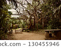 A tropical garden with a treehouse-style wooden deck and benches 130455946