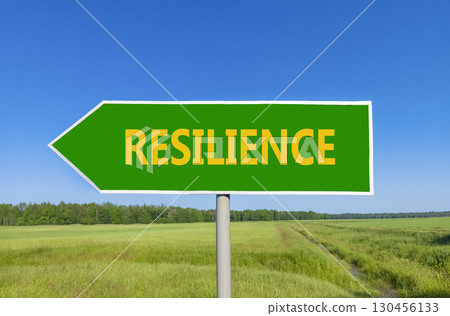 Resilience symbol. Concept word Resilience on beautiful green road sign. Beautiful blue sky green grass and forest peaceful nature background. Business resilience concept. Copy space. 130456133