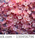 櫻花的一側 130456796