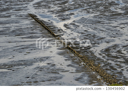 Low tide in morsum cliffs sylt panorama landscape 130456902