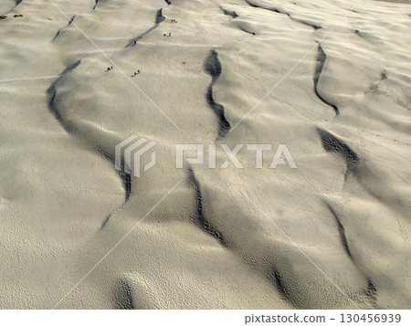 Rabjerg Mile aerial view sand dunes landscape near Skagen Denmark Rabjerg Mile aerial view sand dunes landscape near Skagen Denmark 130456939