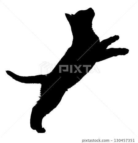 Silhouette of a playing cat, animal, scratch, jump, jump 130457351