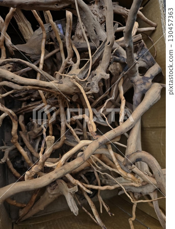 Collection of Driftwood for Aquarium Design A bundle of natural driftwood pieces collected together, commonly used for aquarium decoration and aquascaping 130457363