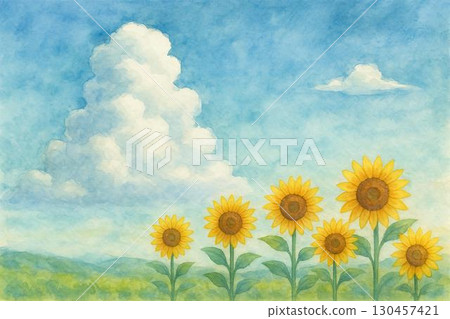 向日葵，藍天，積雨雲 130457421