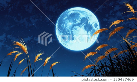 Moon viewing, long autumn nights, full moon, silver grass 06 (16:9) 130457469