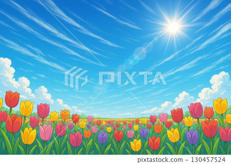 鬱金香藍天 130457524