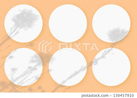Natural light casts shadows from wildflowers on 6 round sheets of white textured paper lying on a orange textured background. Mockup 130457910