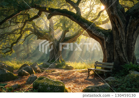 Enchanted forest scene with magical sunbeams filtering through ancient, mossy trees. A tranquil sanctuary with a bench for contemplation. Fantasy landscape. Enchanted forest scene with magical sunbeams filtering through ancient, mossy trees. A tranquil sanctuary with a bench for contemplation. Fantasy landscape. 130459130